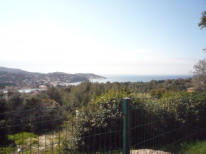 P1010321